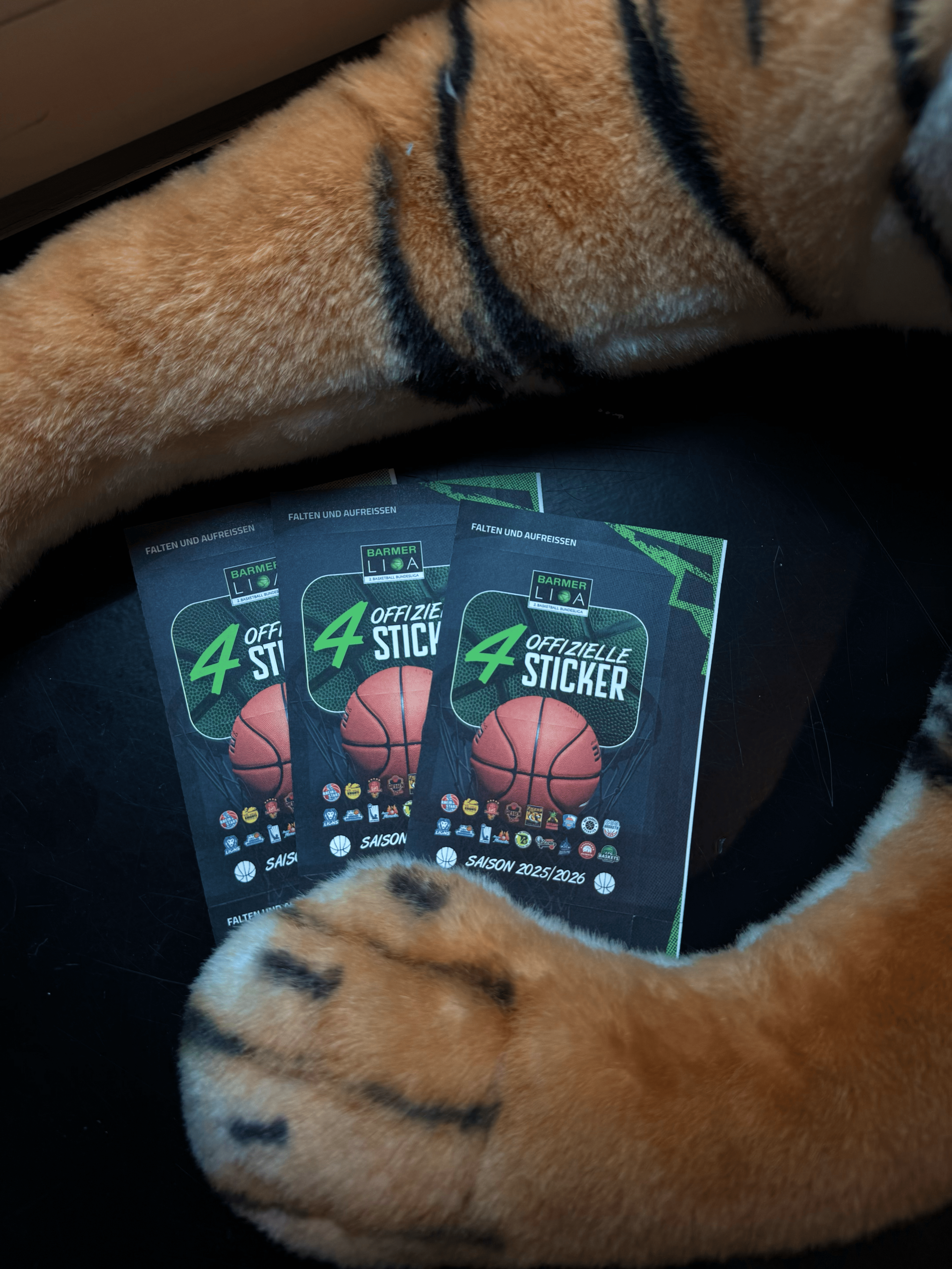 Sticker-Paket (4-Stück) 25/26