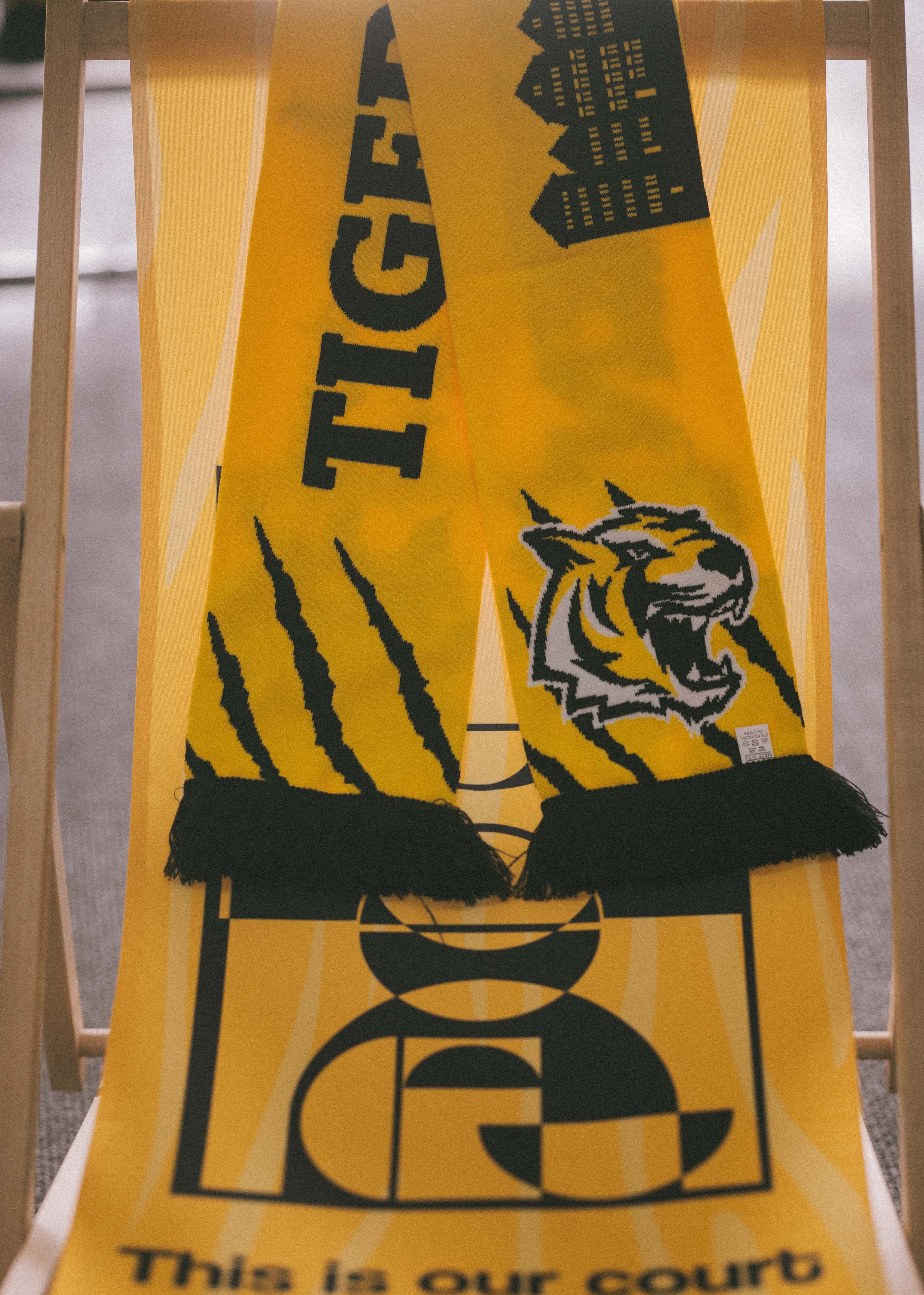 TIGERS Fanschal "Skyline Tübingen"