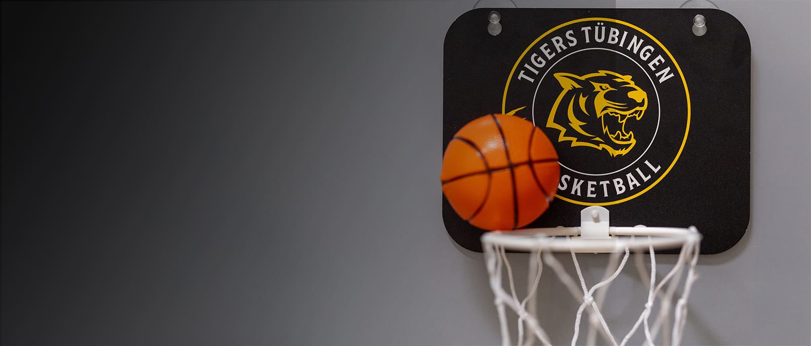 Produktimage des Tigers Mini-Korb