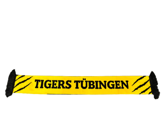 TIGERS Fanschal "Skyline Tübingen"