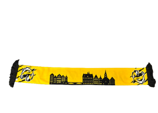 TIGERS Fanschal "Skyline Tübingen"